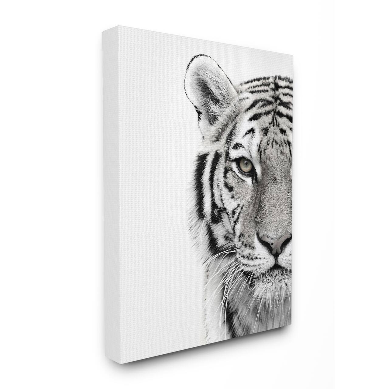Stupell Industries White Tiger Black & White Photo Wall Accent